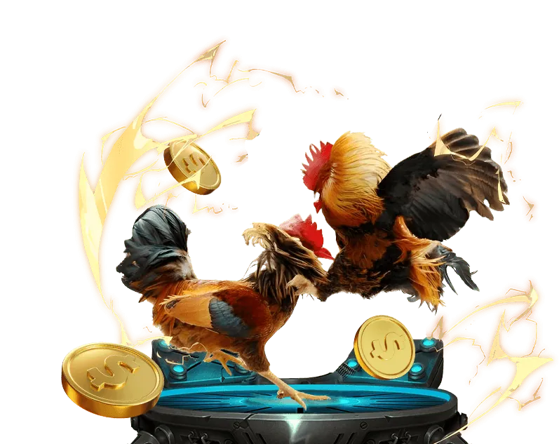 Hoàn trả đá gà hàng ngày 89win